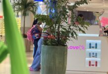 Pós eleição o povo vao as compras